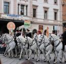 Horses in the May Day Parade